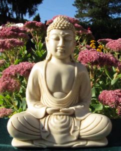 Buddha Statue vor blühender Fetthenne - Fragen und Antworten
