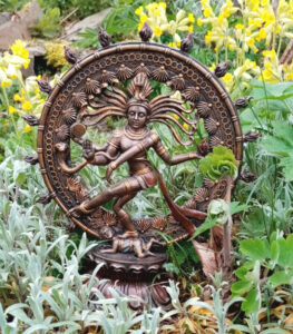 Shiva nataraja in der Natur - Sanskrit