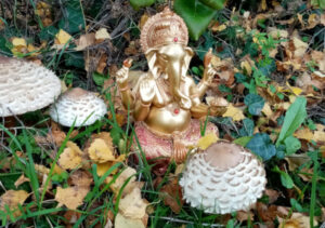 Ganesha sitzt im Garten zwischen Pilzen im Herbst